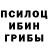 Псилоцибиновые грибы Psilocybine cubensis JUAN BAEZ