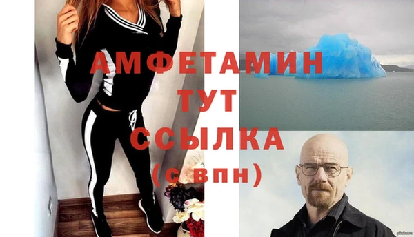 стаф Касимов