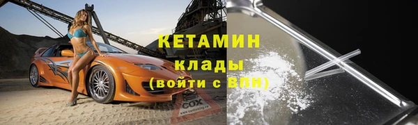 стаф Касимов