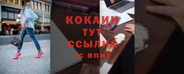 стаф Касимов