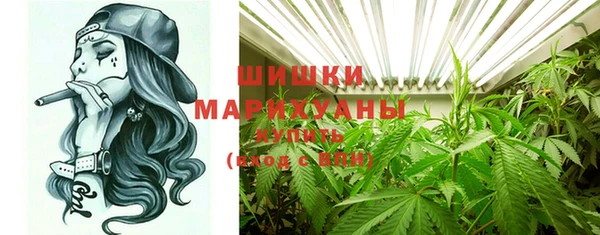 стаф Касимов