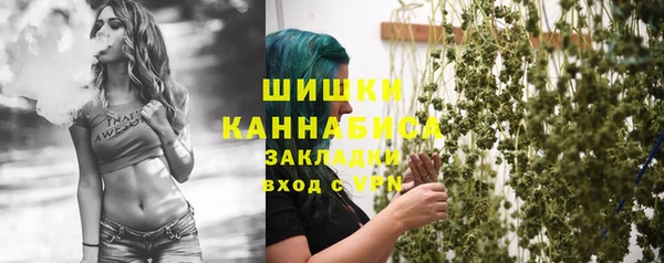 spice Карпинск