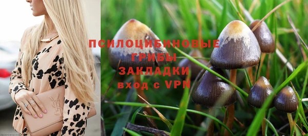 spice Карпинск