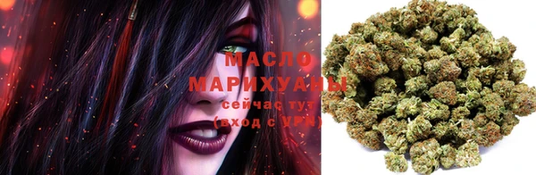 стаф Касимов