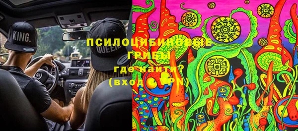 стаф Касимов