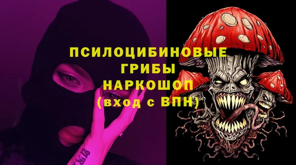 spice Карпинск