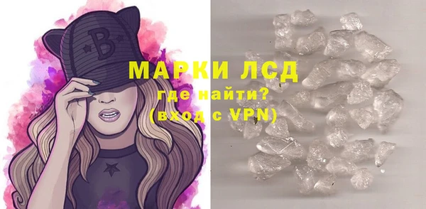стаф Касимов