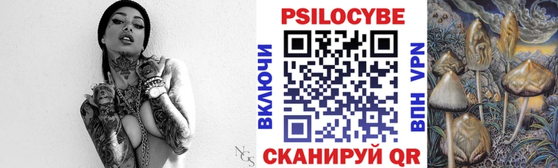 где продают   Тамбов  Псилоцибиновые грибы Cubensis 