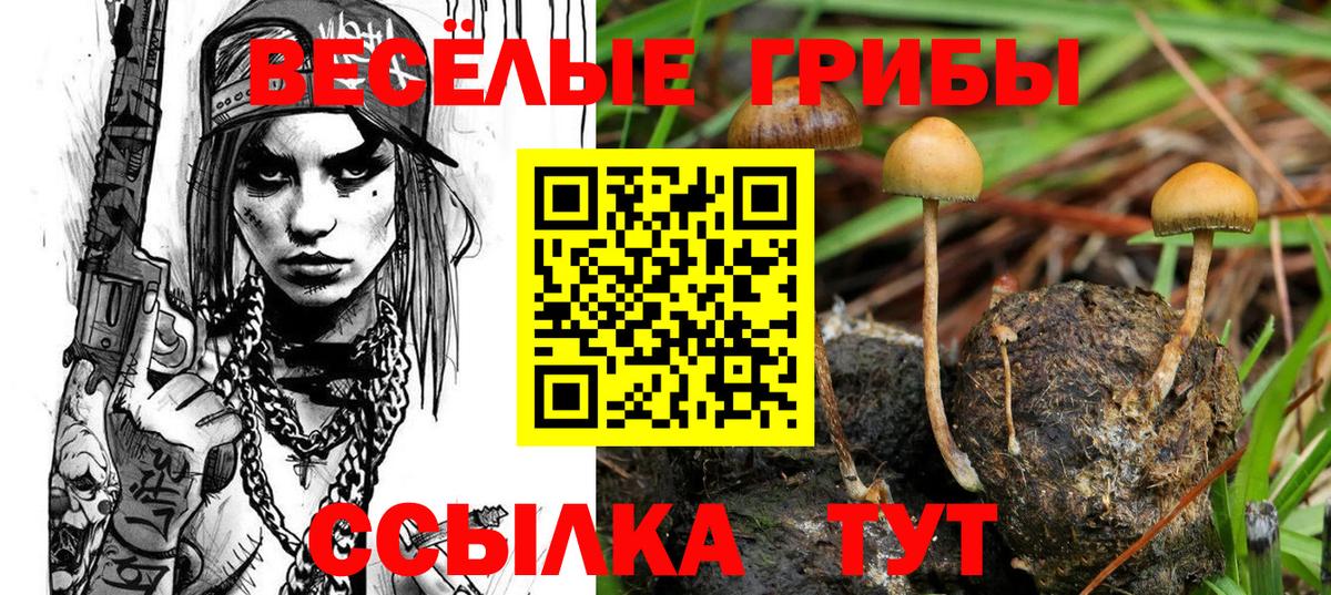 Галлюциногенные грибы ЛСД Тамбов