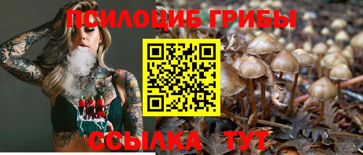 Галлюциногенные грибы Cubensis  Вход с VPN  Тамбов 