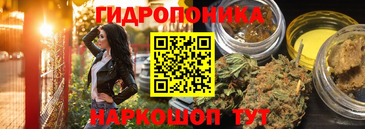 Бошки Шишки ГИДРОПОН  Канабис марихуана  Тамбов  Вход с VPN 
